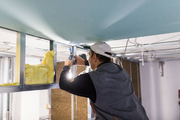 Best Insulation Replacement Services  in Atasdero, CA